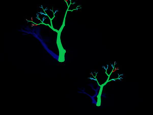 temple of confucius-dead tree 15 3D Model
