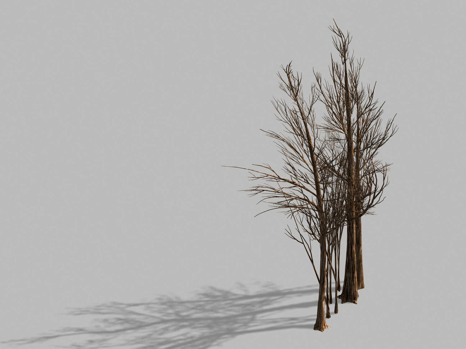 temple of confucius-dead tree 16 3D Model .c4d .max .obj .3ds .fbx .stl .blend 