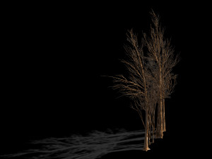 temple of confucius-dead tree 16 3Dモデル