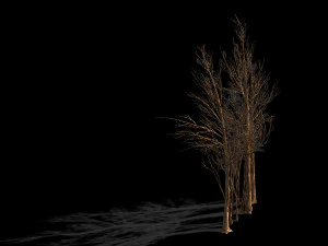 temple of confucius-dead tree 16 3D Model