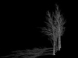 temple of confucius-dead tree 16 3Dモデル
