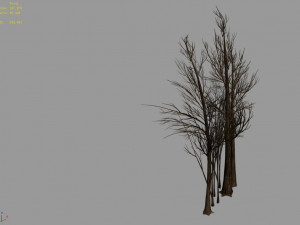 temple of confucius-dead tree 16 3Dモデル