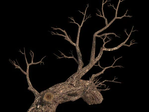 temple of confucius-dead tree 17 3D Model