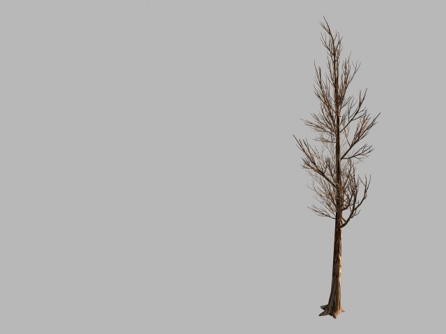 temple of confucius-dead tree 18 Model 3D .c4d .max .obj .3ds .fbx .stl .blend 