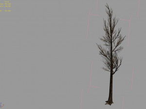temple of confucius-dead tree 18 Model 3D