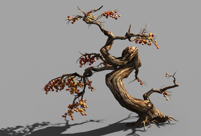 temple of confucius-dead tree 19 3D-Modell .c4d .max .obj .3ds .fbx .stl .blend 