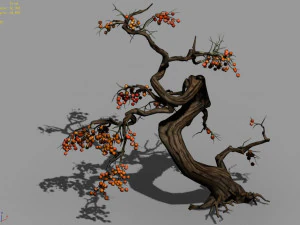 temple of confucius-dead tree 19 3D Model