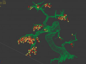 temple of confucius-dead tree 19 3D-Modell