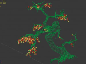 temple of confucius-dead tree 19 3D Model