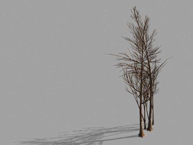 temple of confucius-dead tree 20 3D 모델 .c4d .max .obj .3ds .fbx .stl .blend 