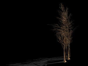 temple of confucius-dead tree 20 3D 모델