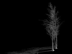 temple of confucius-dead tree 20 3D 모델