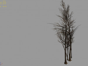 temple of confucius-dead tree 20 3D 모델