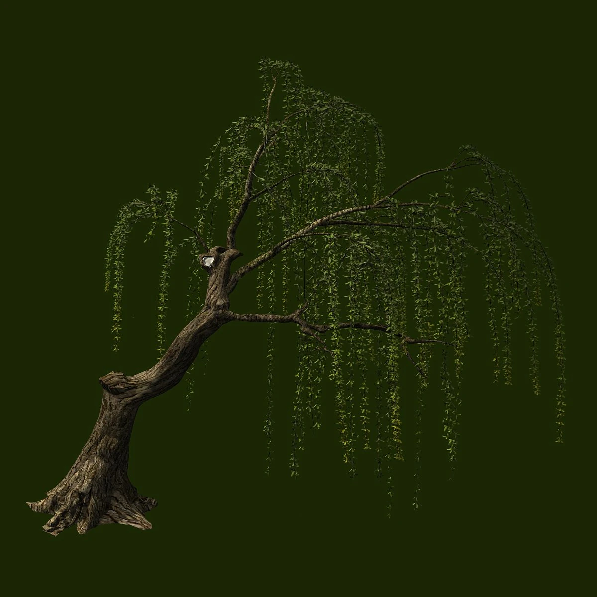 willow-plant 12 3D Model .c4d .max .obj .3ds .fbx .stl .blend 