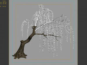 willow-plant 12 3D Model