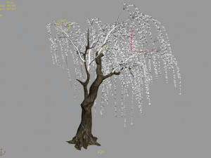 willow-plant 13 Modèle 3D