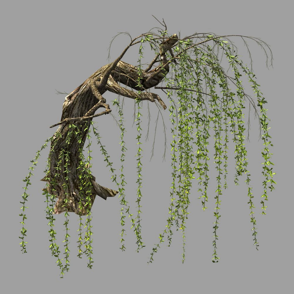 willow-plant 14 3D Model .c4d .max .obj .3ds .fbx .stl .blend 