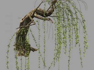 wilgenplant 14 3D Model