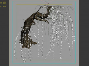 willow-plant 14 Modelo 3D