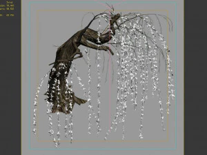 willow-plant 14 3D Model