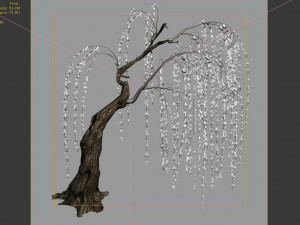 willow-plant 15 3D Модель