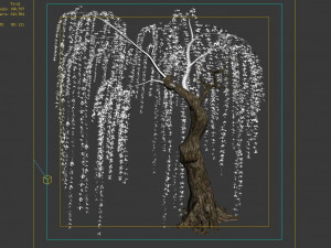 willow-plant 16 3D Модель