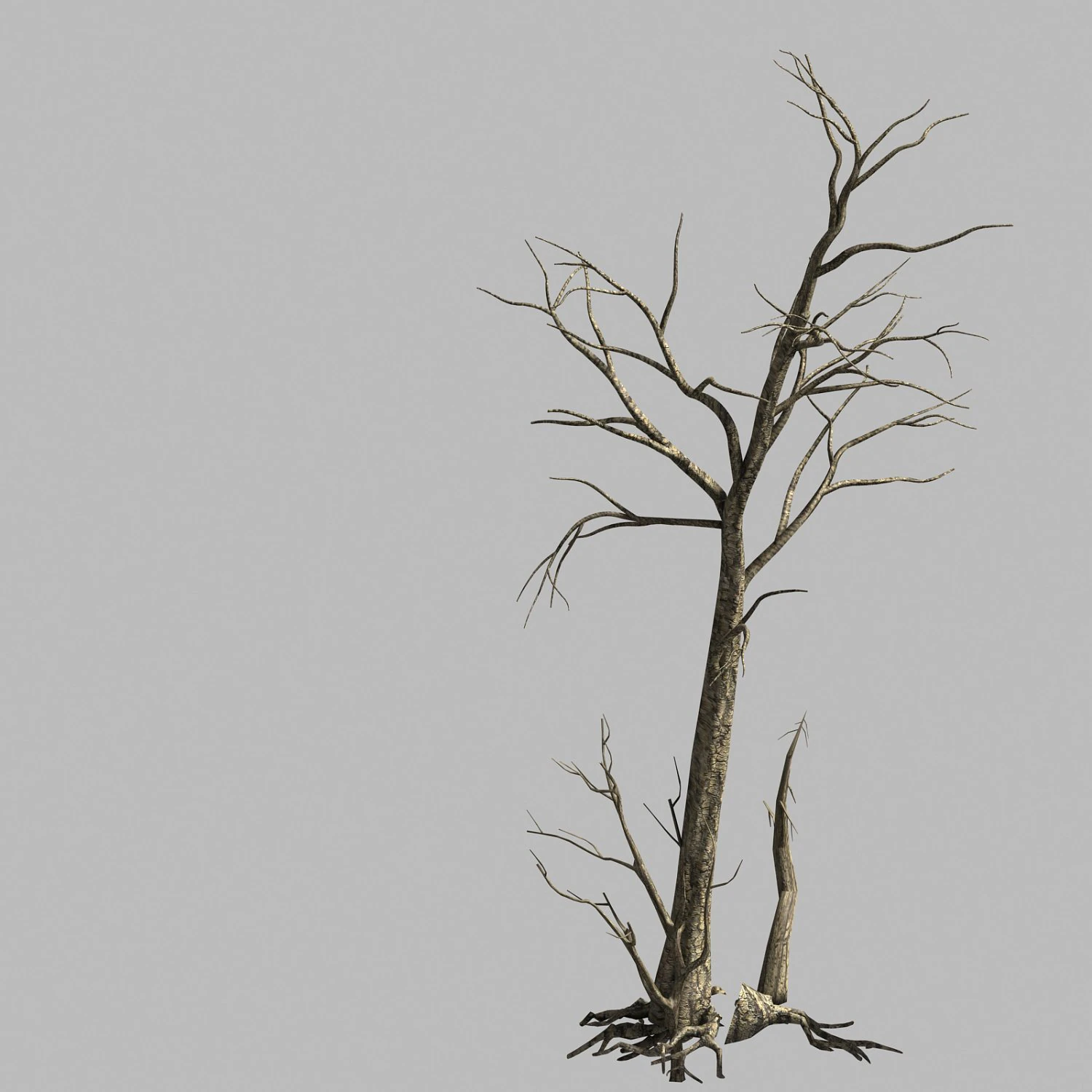 roadside-dead tree 01 3D Model .c4d .max .obj .3ds .fbx .stl .blend 