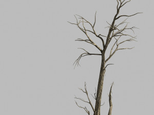 roadside-dead tree 01 3D Model