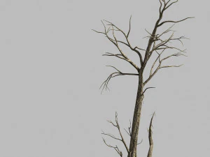 langs de weg dode boom 01 3D Model