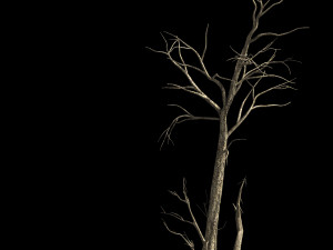 roadside-dead tree 01 3D-Modell