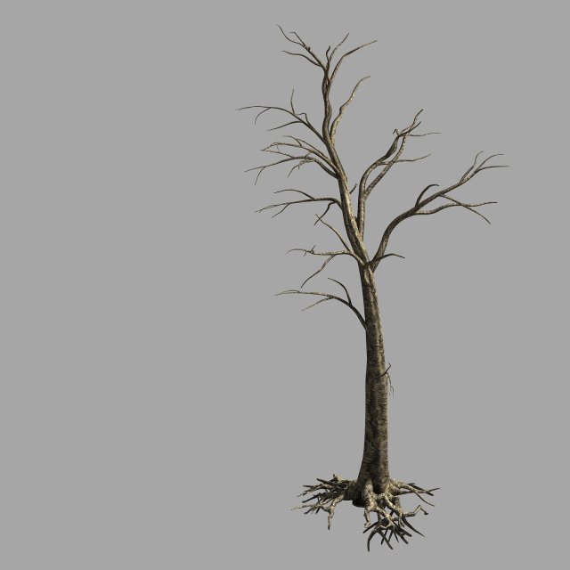 roadside-dead tree 02 3D मॉडल .c4d .max .obj .3ds .fbx .stl .blend 