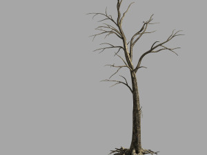 roadside-dead tree 02 3D Модель