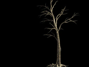 roadside-dead tree 02 3D Model