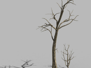 roadside-dead tree 03 Model 3D