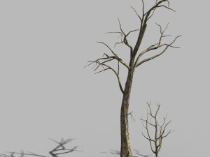 langs de weg dode boom 03 3D Model