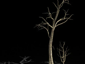 &aacute;rbol muerto en la carretera 03 Modelo 3D