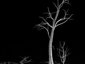 &aacute;rbol muerto en la carretera 03 Modelo 3D