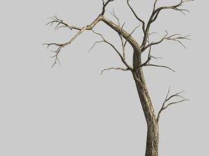 árbol muerto en la carretera 04 Modelo 3D