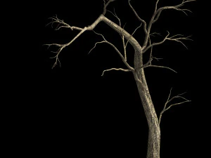 roadside-dead tree 04 3D Model