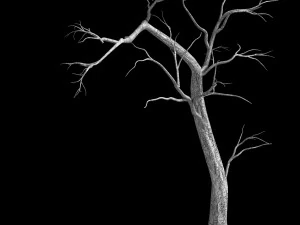 roadside-dead tree 04 3D Model