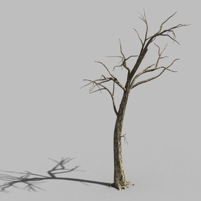 roadside-dead tree 05 Modello 3D .c4d .max .obj .3ds .fbx .stl .blend 