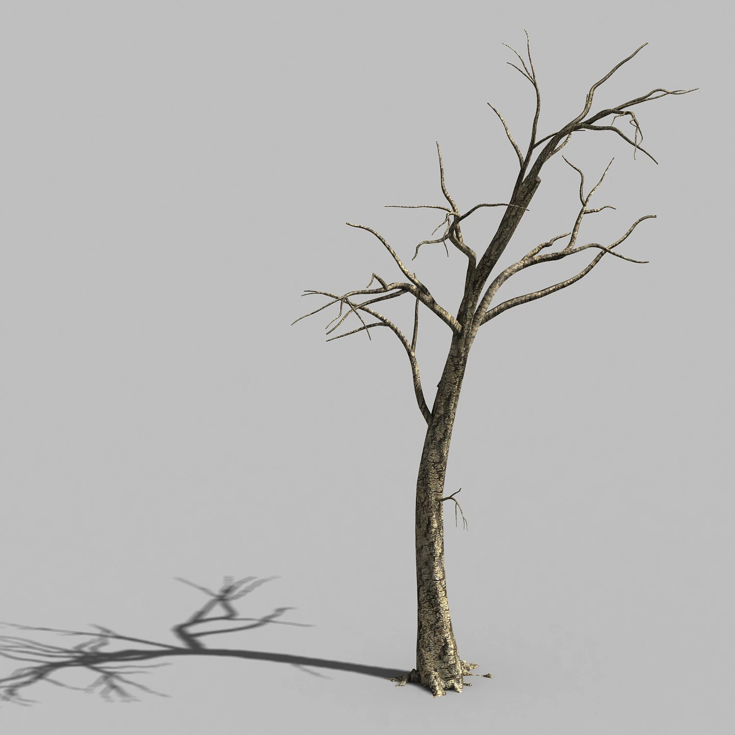 roadside-dead tree 05 3D Model .c4d .max .obj .3ds .fbx .stl .blend 