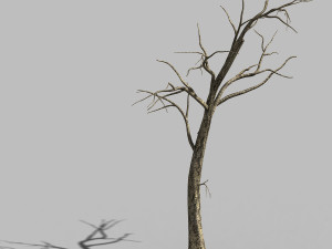 roadside-dead tree 05 3D Model