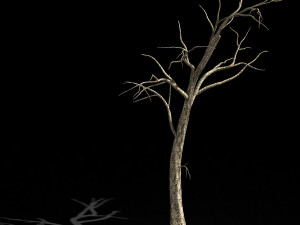 roadside-dead tree 05 Modello 3D