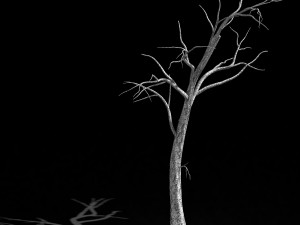 roadside-dead tree 05 Modello 3D