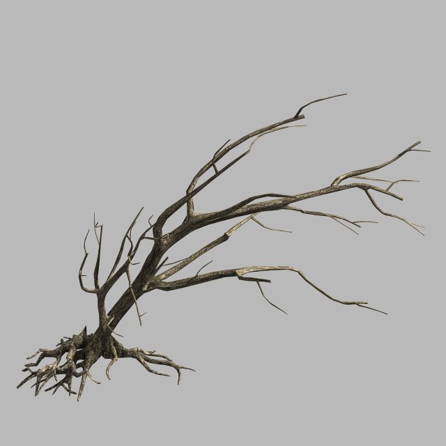 roadside-dead tree 06 Model 3D .c4d .max .obj .3ds .fbx .stl .blend 