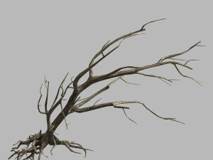 &aacute;rvore morta na estrada 06 Modelo 3D