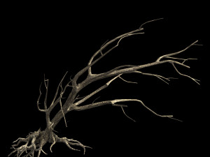 roadside-dead tree 06 Model 3D