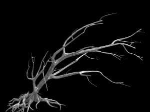 roadside-dead tree 06 Model 3D