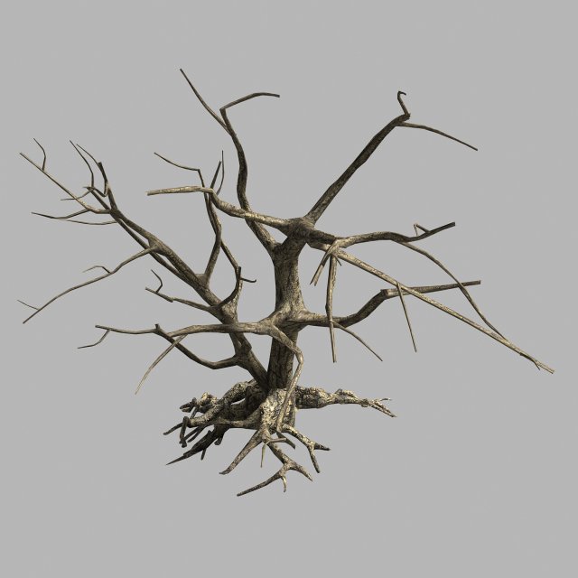 roadside-dead tree 07 Modèle 3D .c4d .max .obj .3ds .fbx .stl .blend